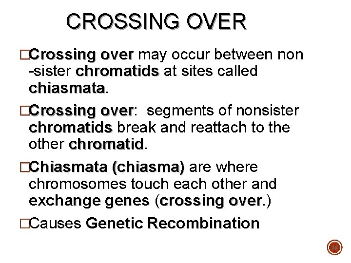 CROSSING OVER �Crossing over may occur between non -sister chromatids at sites called chiasmata