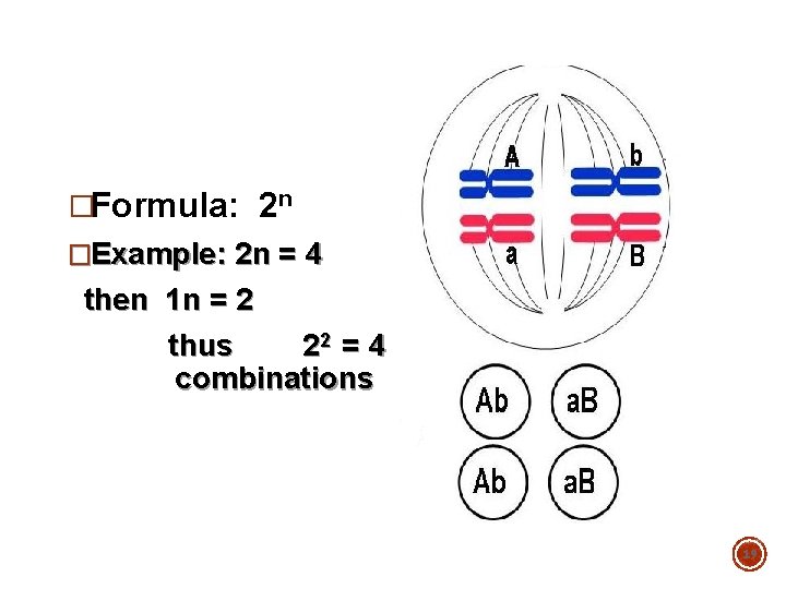 �Formula: 2 n �Example: 2 n = 4 then 1 n = 2 thus