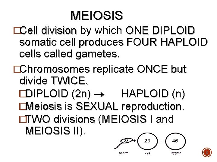 MEIOSIS �Cell division by which ONE DIPLOID somatic cell produces FOUR HAPLOID cells called