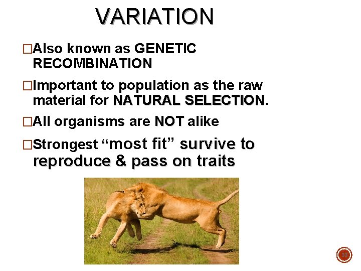 VARIATION �Also known as GENETIC RECOMBINATION �Important to population as the raw material for