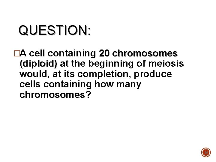 QUESTION: �A cell containing 20 chromosomes (diploid) at the beginning of meiosis would, at