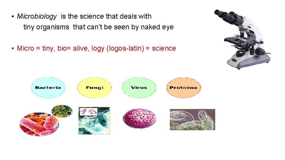  • Microbiology is the science that deals with tiny organisms that can’t be