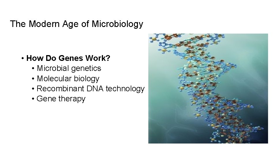 The Modern Age of Microbiology • How Do Genes Work? • Microbial genetics •