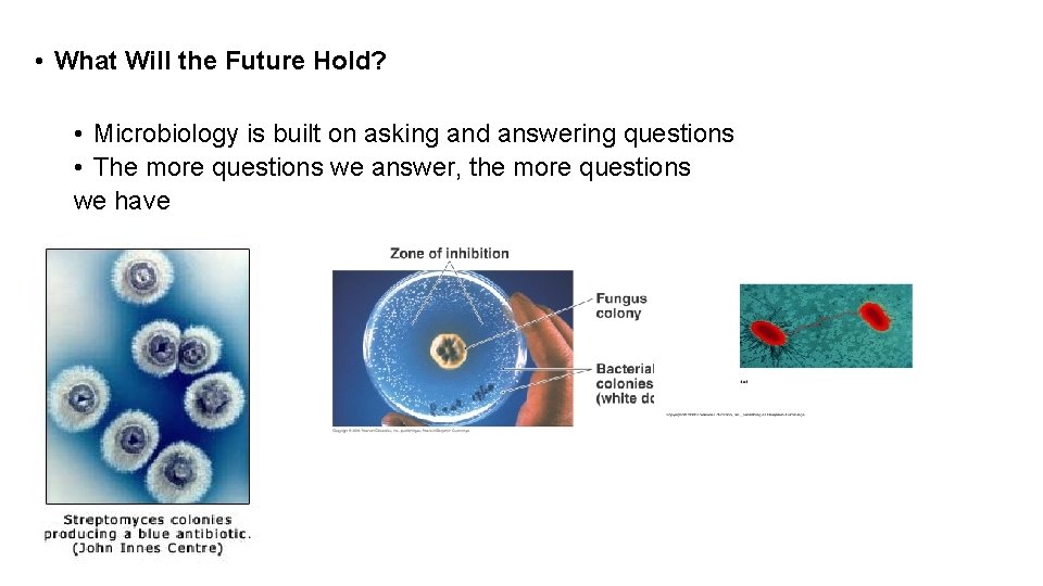  • What Will the Future Hold? • Microbiology is built on asking and