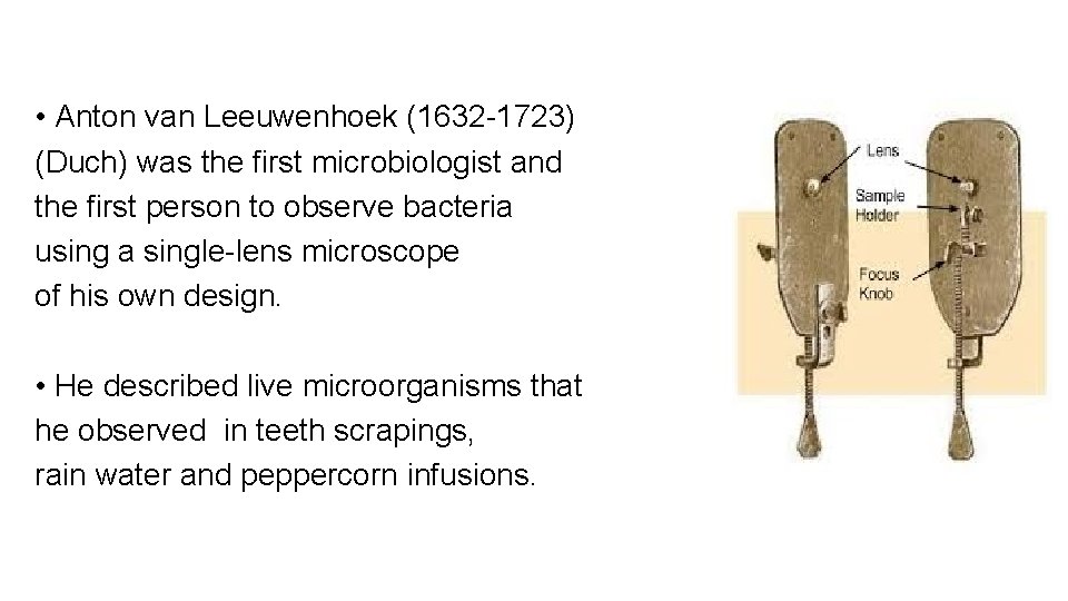  • Anton van Leeuwenhoek (1632 -1723) (Duch) was the first microbiologist and the