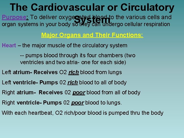 The Cardiovascular or Circulatory Purpose: To deliver oxygenated blood to the various cells and