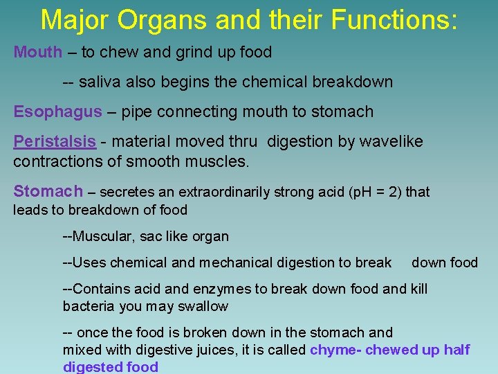 Major Organs and their Functions: Mouth – to chew and grind up food --