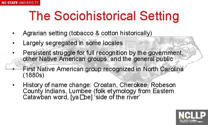 The Sociohistorical Setting • Agrarian setting (tobacco & cotton historically) • Largely segregated in
