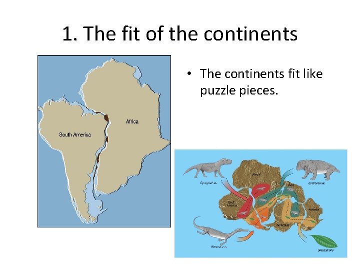 1. The fit of the continents • The continents fit like puzzle pieces. 