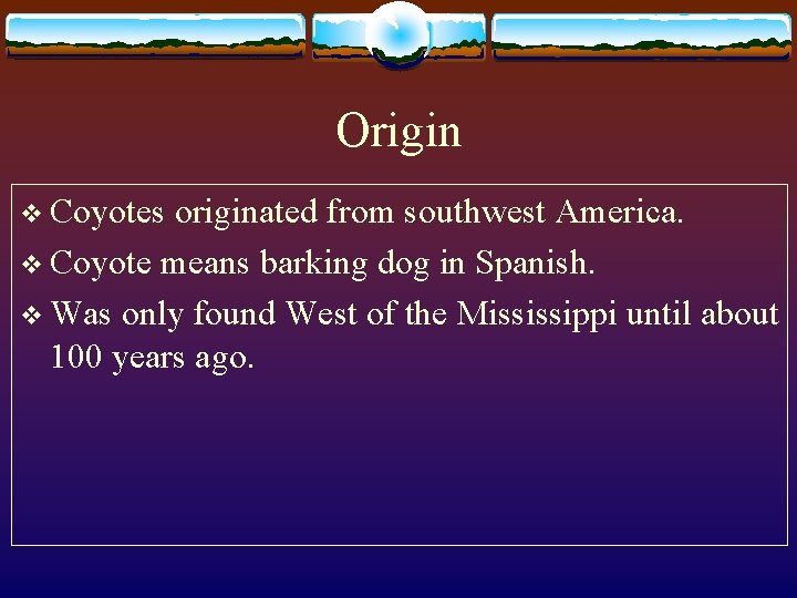 Origin v Coyotes originated from southwest America. v Coyote means barking dog in Spanish.