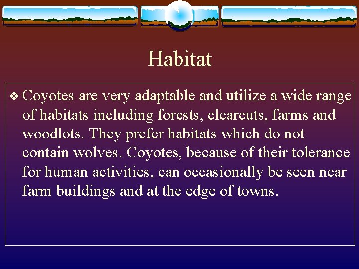 Habitat v Coyotes are very adaptable and utilize a wide range of habitats including