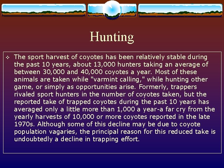 Hunting v The sport harvest of coyotes has been relatively stable during the past