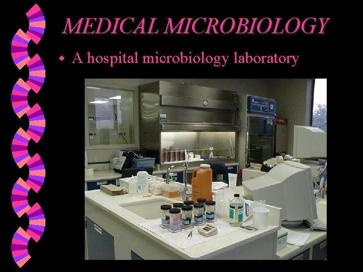 MEDICAL MICROBIOLOGY w A hospital microbiology laboratory 