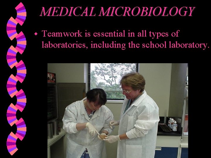 MEDICAL MICROBIOLOGY w Teamwork is essential in all types of laboratories, including the school