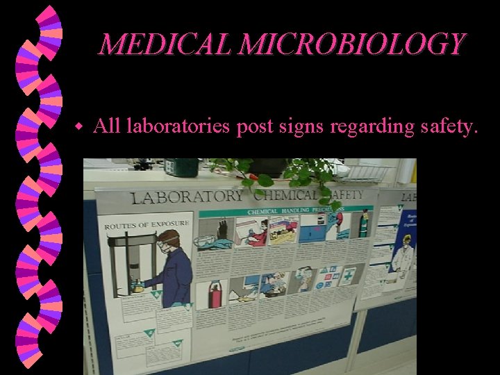 MEDICAL MICROBIOLOGY w All laboratories post signs regarding safety. 