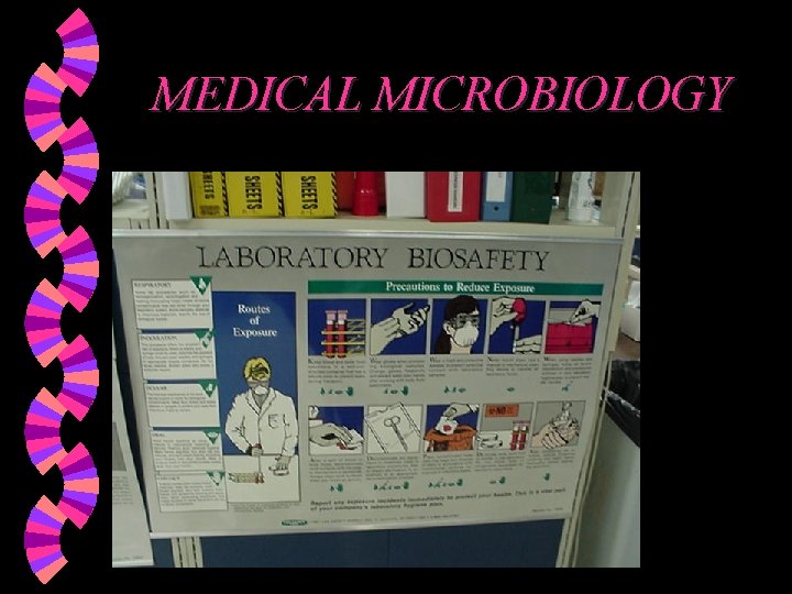 MEDICAL MICROBIOLOGY 