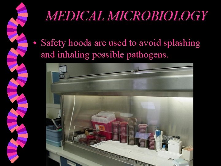 MEDICAL MICROBIOLOGY w Safety hoods are used to avoid splashing and inhaling possible pathogens.