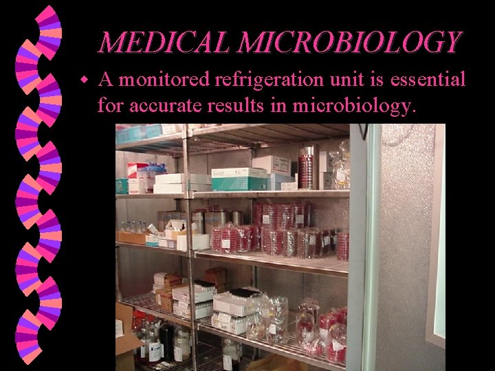 MEDICAL MICROBIOLOGY w A monitored refrigeration unit is essential for accurate results in microbiology.