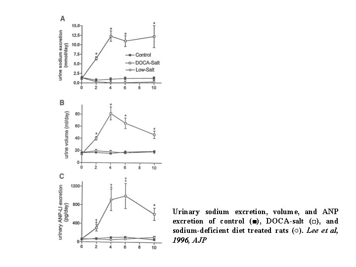 Urinary sodium excretion, volume, and ANP excretion of control (■), DOCA-salt (□), and sodium-deficient