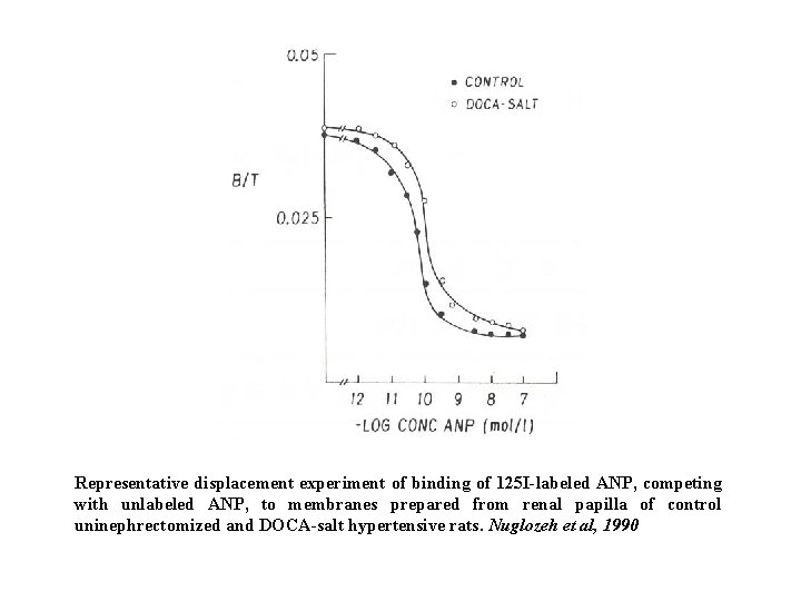 Representative displacement experiment of binding of 125 I-labeled ANP, competing with unlabeled ANP, to