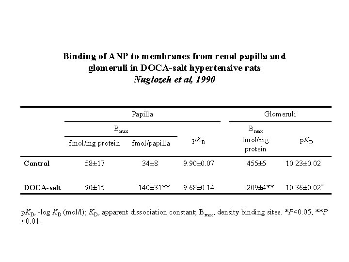Binding of ANP to membranes from renal papilla and glomeruli in DOCA-salt hypertensive rats
