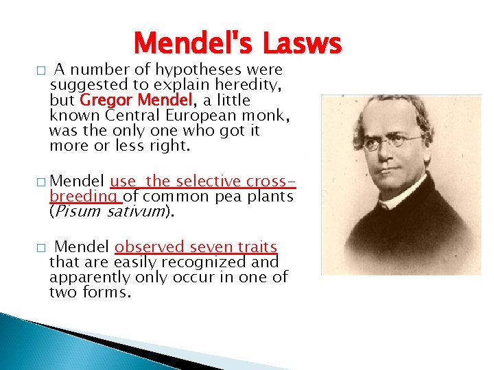 � Mendel's Lasws A number of hypotheses were suggested to explain heredity, but Gregor