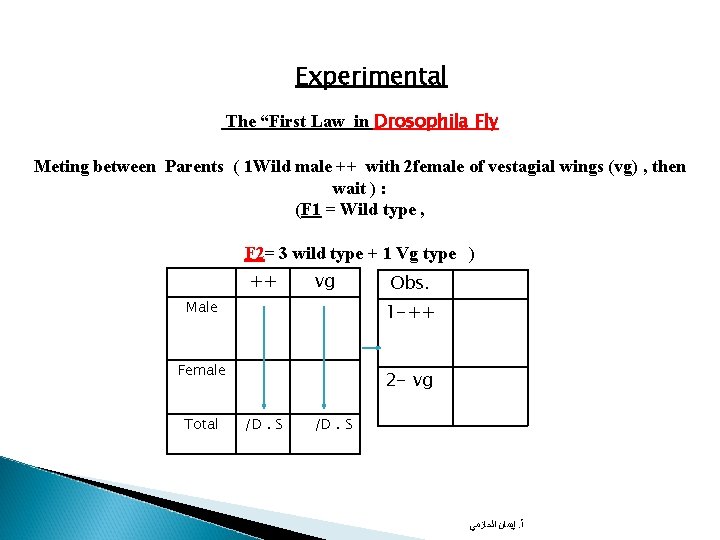 Experimental The “First Law in Drosophila Fly Meting between Parents ( 1 Wild male