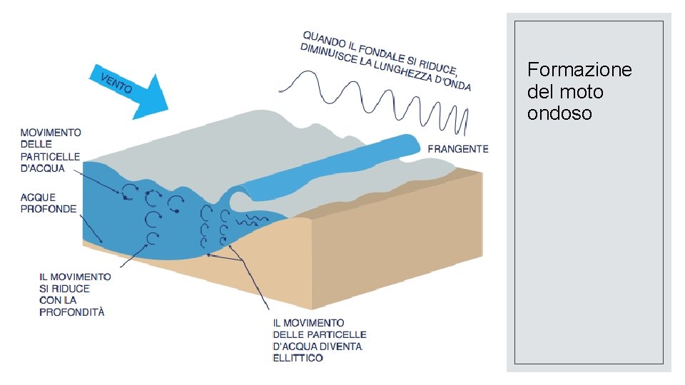 Formazione del moto ondoso 