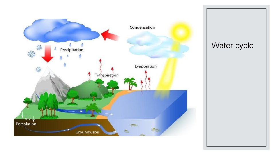 Water cycle 