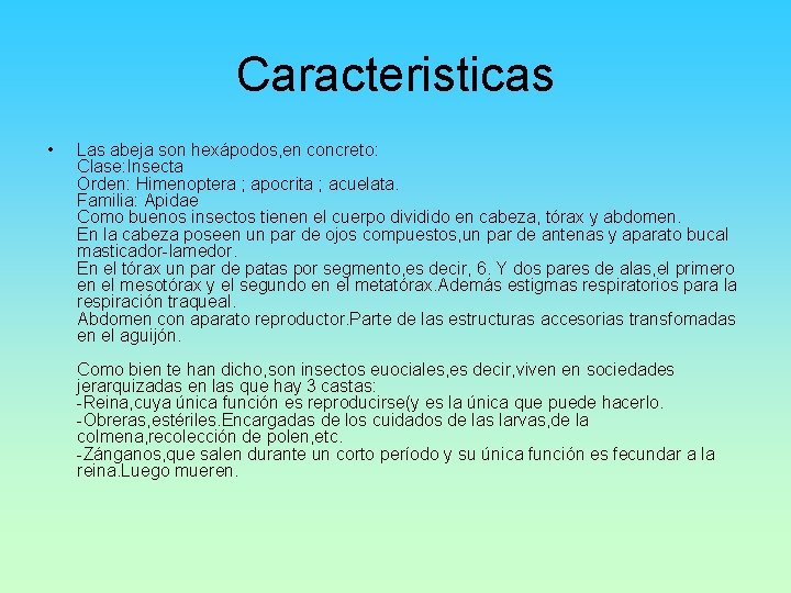 Caracteristicas • Las abeja son hexápodos, en concreto: Clase: Insecta Orden: Himenoptera ; apocrita