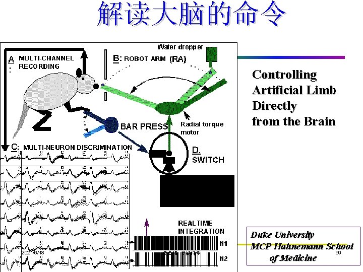 解读大脑的命令 Controlling Artificial Limb Directly from the Brain 2021/6/18 史忠植 智能科学 Duke University MCP