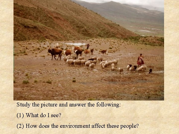 Study the picture and answer the following: (1) What do I see? (2) How