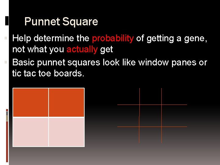 Punnet Square Help determine the probability of getting a gene, not what you actually