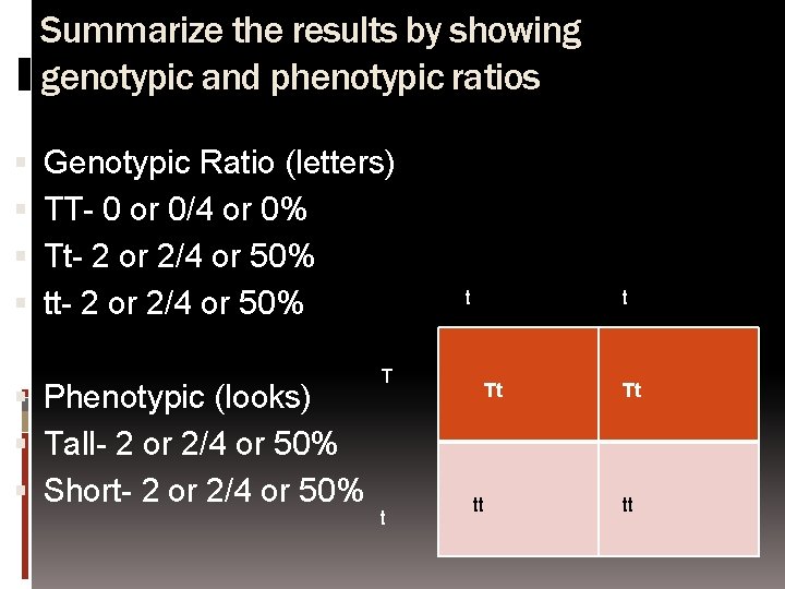Summarize the results by showing genotypic and phenotypic ratios Genotypic Ratio (letters) TT- 0