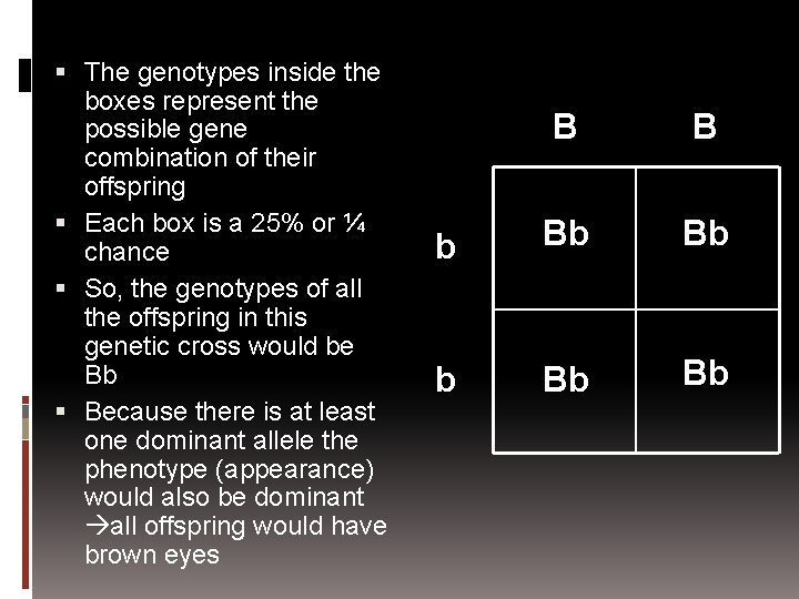  The genotypes inside the boxes represent the possible gene combination of their offspring