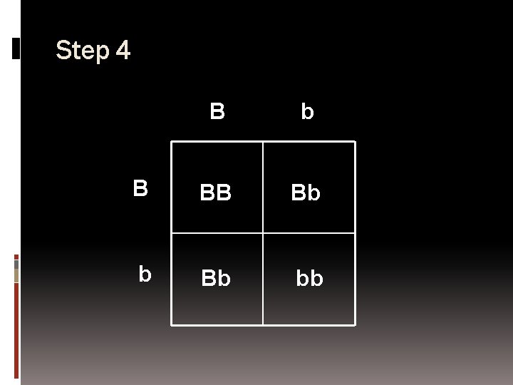 Step 4 B b B BB Bb bb 