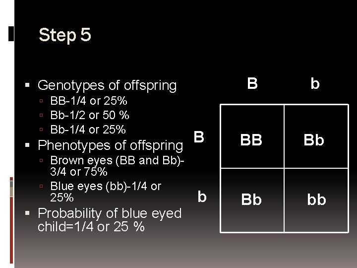 Step 5 Genotypes of offspring BB-1/4 or 25% Bb-1/2 or 50 % Bb-1/4 or