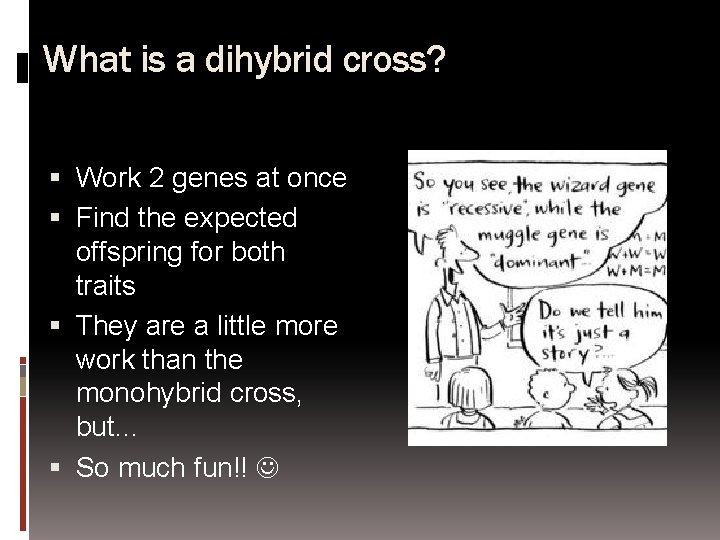 What is a dihybrid cross? Work 2 genes at once Find the expected offspring