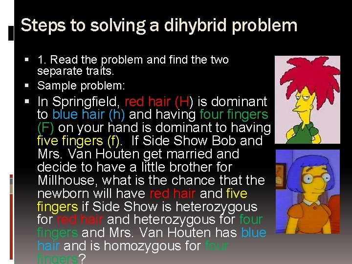 Steps to solving a dihybrid problem 1. Read the problem and find the two