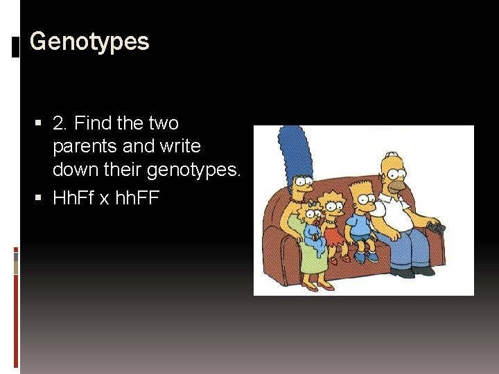 Genotypes 2. Find the two parents and write down their genotypes. Hh. Ff x
