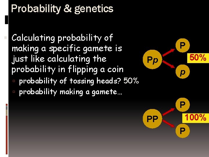 Probability & genetics Calculating probability of making a specific gamete is just like calculating