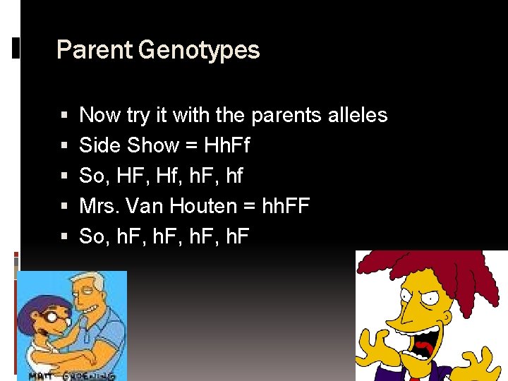 Parent Genotypes Now try it with the parents alleles Side Show = Hh. Ff