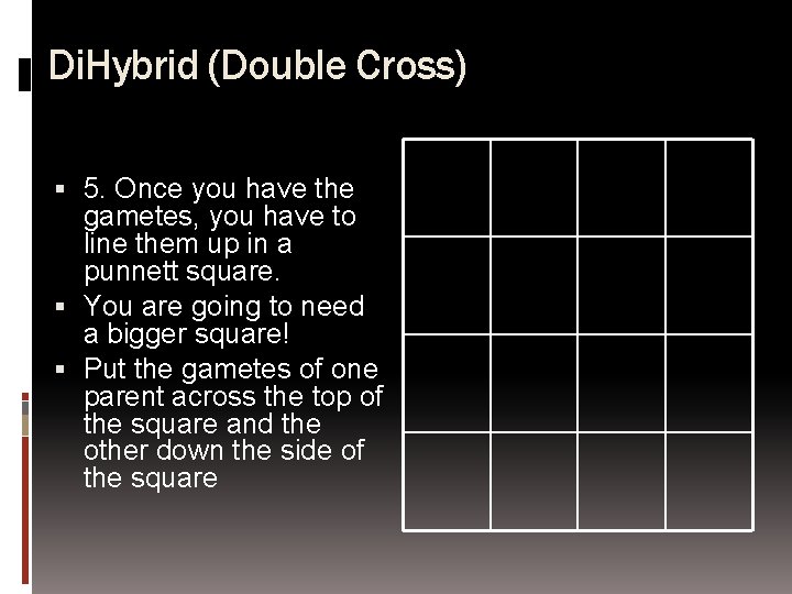 Di. Hybrid (Double Cross) 5. Once you have the gametes, you have to line
