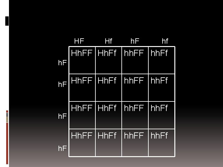 HF Hf h. F hf Hh. FF Hh. Ff hh. FF hh. Ff h.