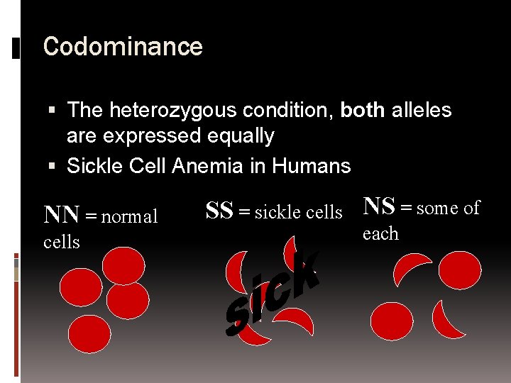 Codominance The heterozygous condition, both alleles are expressed equally Sickle Cell Anemia in Humans