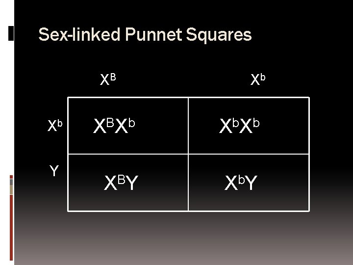 Sex-linked Punnet Squares XB Xb Y Xb X BX b X b X BY
