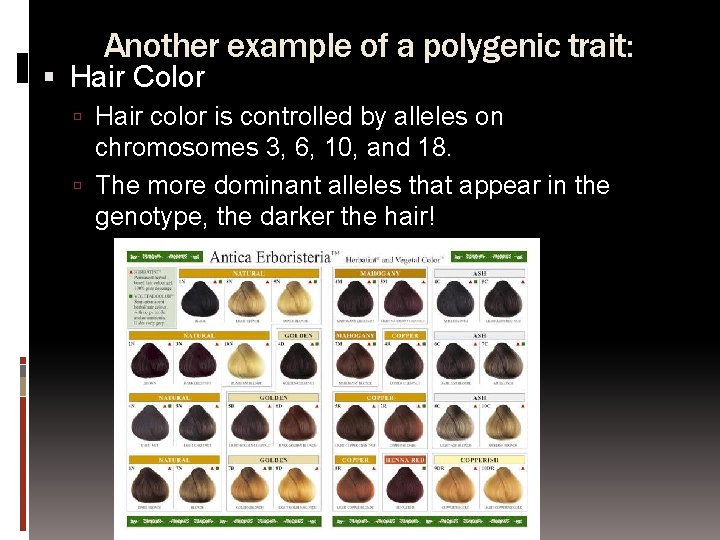 Another example of a polygenic trait: Hair Color Hair color is controlled by alleles