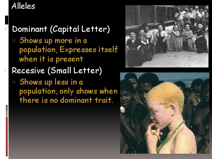 Alleles Dominant (Capital Letter) Shows up more in a population, Expresses itself when it