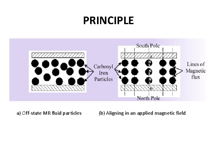 PRINCIPLE a) Off-state MR fluid particles (b) Aligning in an applied magnetic field 