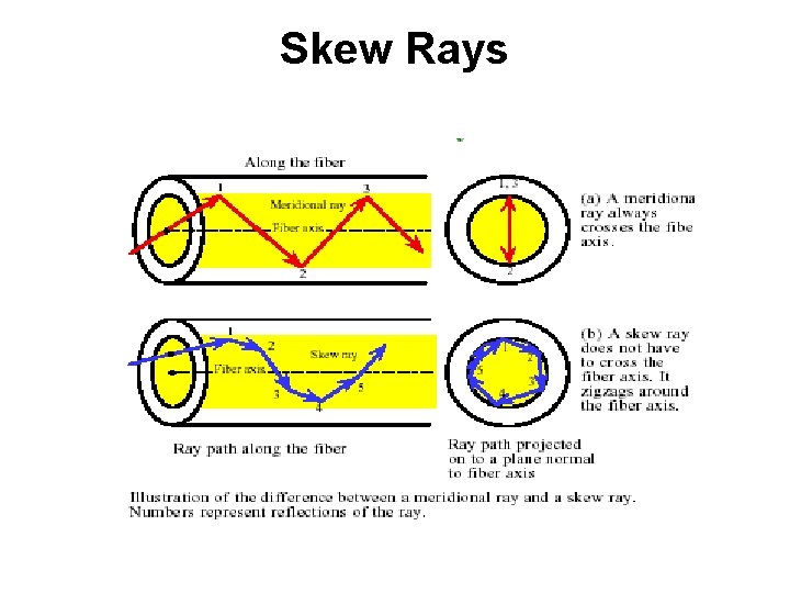 Skew Rays 